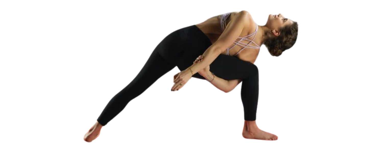 Modifications and Variations