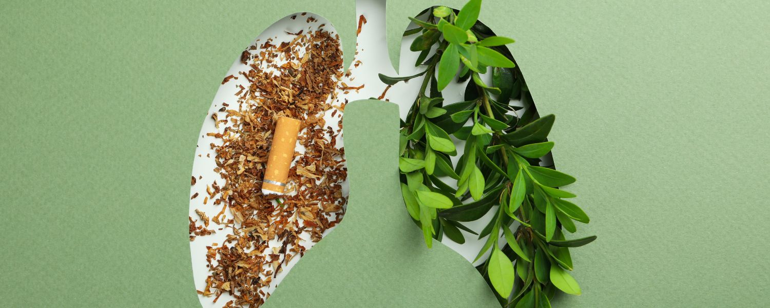 Improves lung capacity and breathing