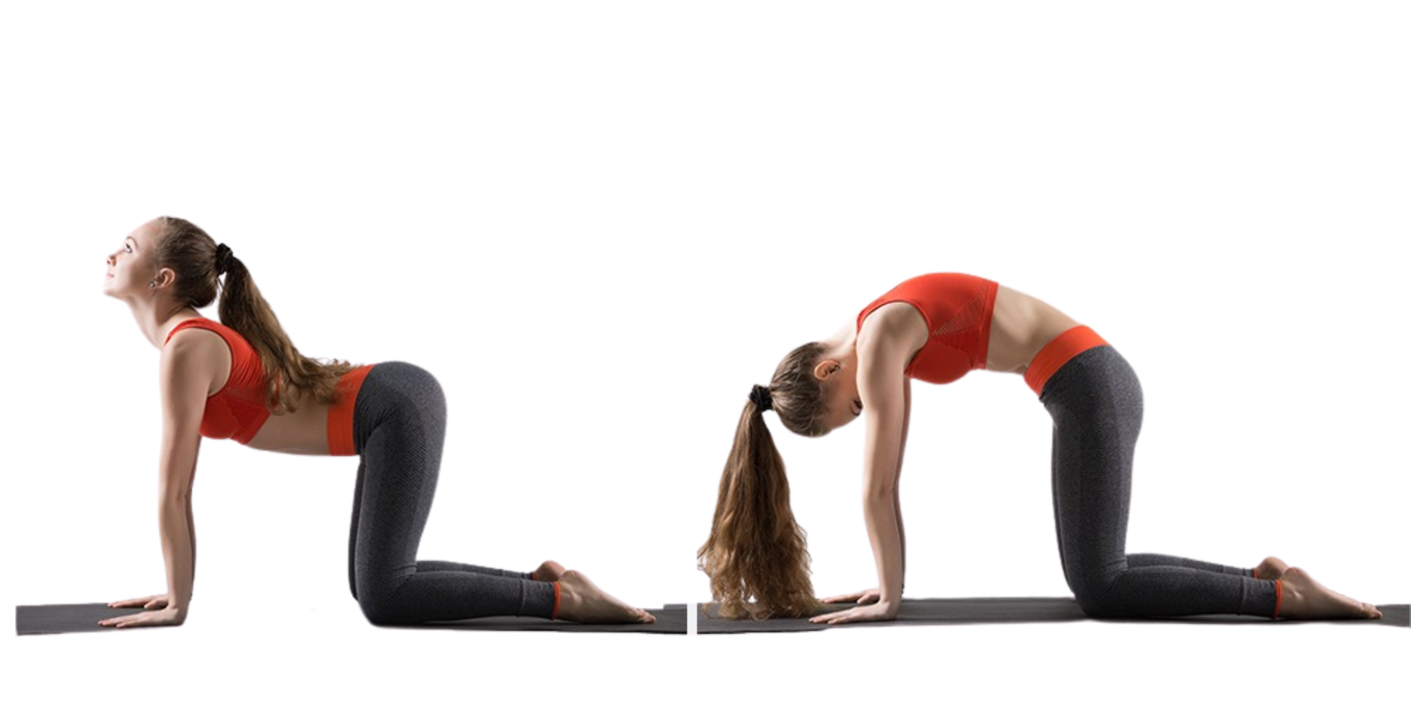 Yoga Poses, Yoga For Beginners, Yoga Benifits